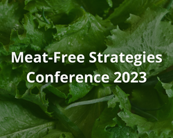 Meat Free Strategies Conference 2023