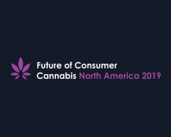 Future Cannabis Strategies North America 2019